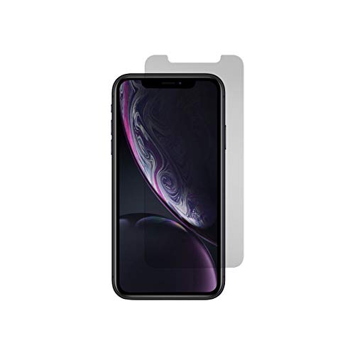 Gadget Guard Vtbiplc208ap02v Black Ice + Tempered Glass Screen Guard For Apple Iphone Xr, Clear